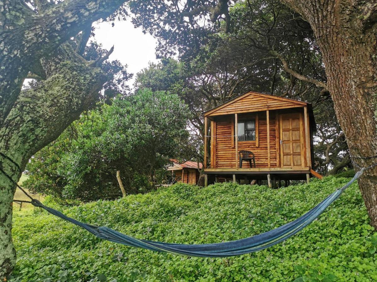 Bulungula Xhosa Community Lodge Bilik gambar